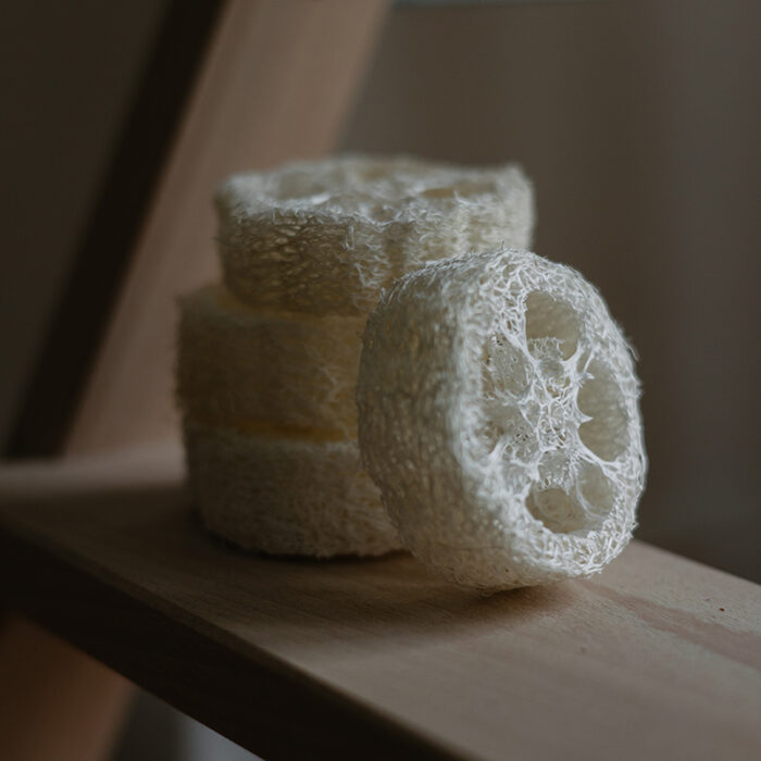 Croll & Denecke Luffa Scheiben