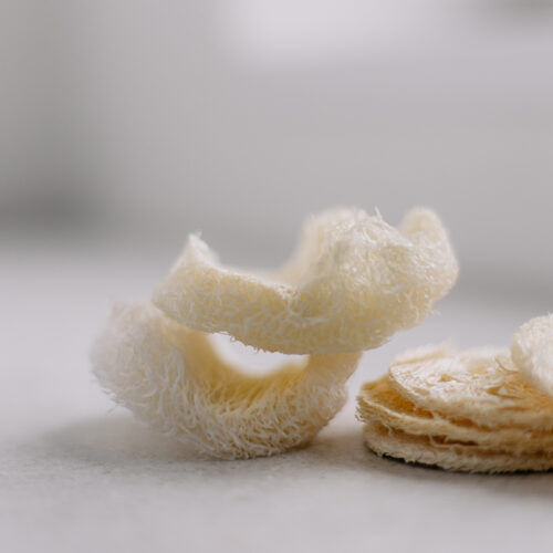 Croll & Denecke Luffa Peeling Pads offen