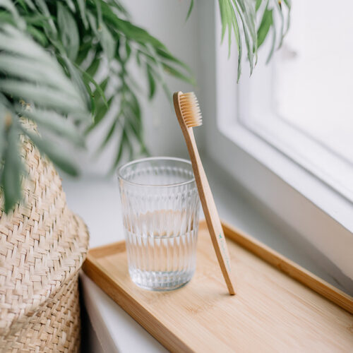 Croll & Denecke Zahnbürste vegan
